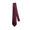 Vintage Paisley Pattern Tie