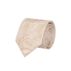 Men's Formal Versatile Tie