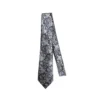 Vintage Paisley Pattern Tie